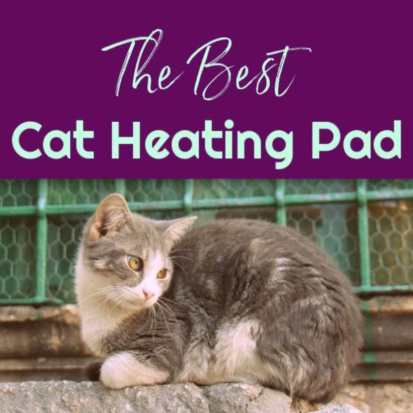 Pressure activated hotsell heated cat bed