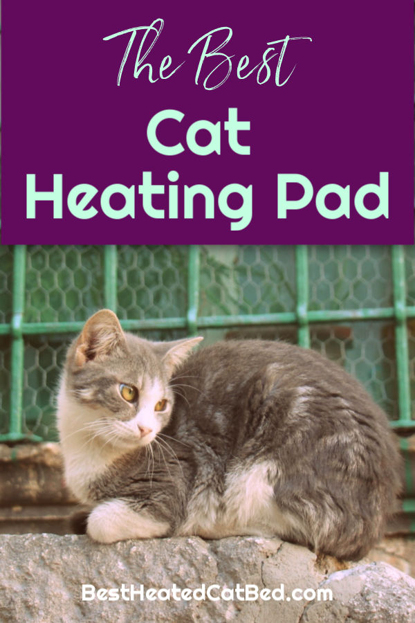 Best Cat Heating Pad by BestHeatedCatBed.com