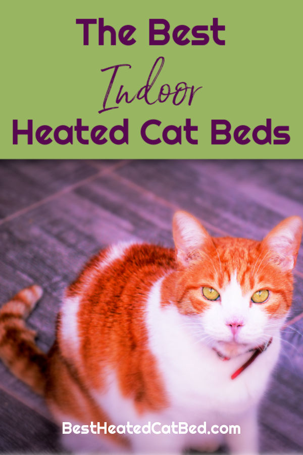 Best Heated Cat Beds Indoor by BestHeatedCatBed.com