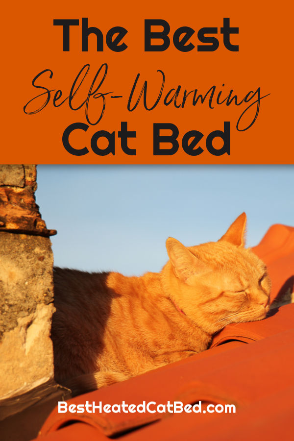 Best Self Warming Cat Bed by BestHeatedCatBed.com