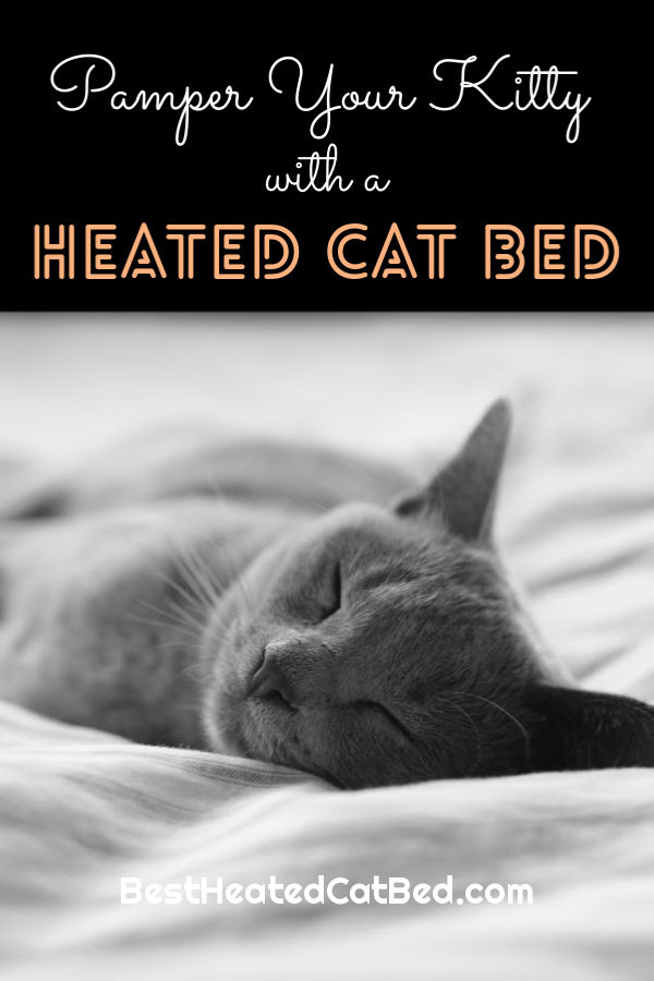 Pamper Your Kitty Heated Cat Bed by BestHeatedCatBed.com