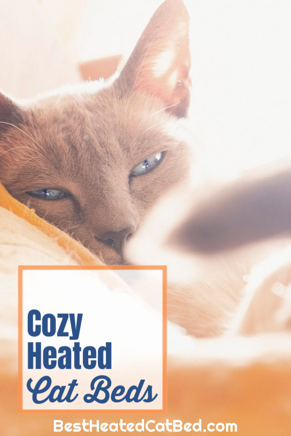 Perfect Heated Cat Beds by BestHeatedCatBed.com