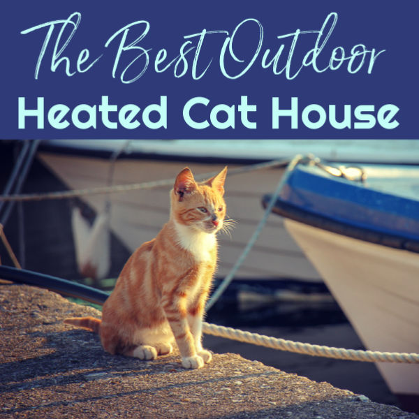 The Best Outdoor Heated Cat House by BestHeatedCatBed.com