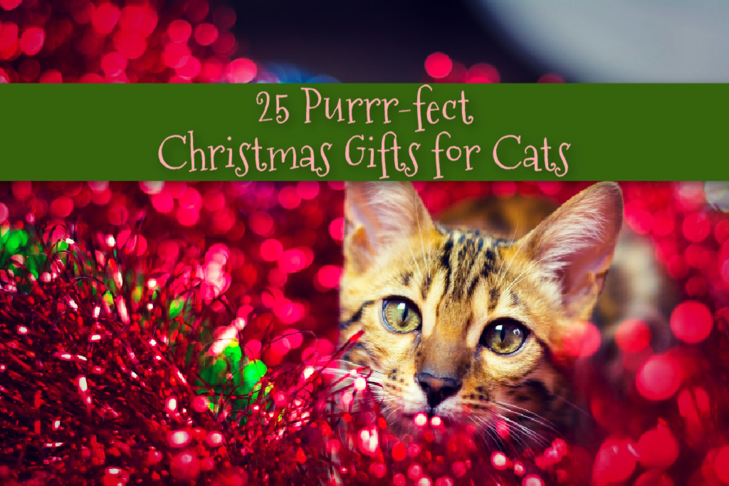 25 Perfect Christmas Gifts for Cats by BestHeatedCatBed.com