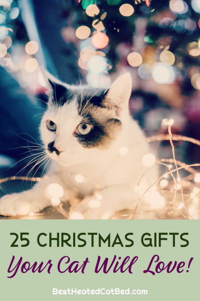 Christmas Gifts Cats Love by BestHeatedCatBed.com