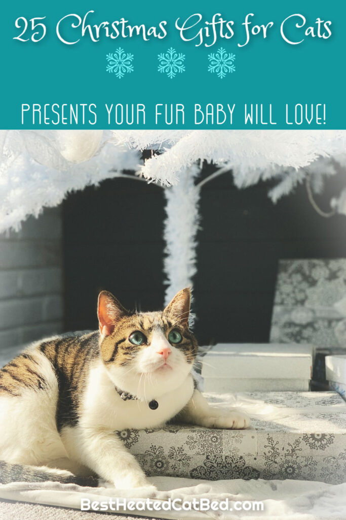 Christmas Presents for Cats by BestHeatedCatBed.com