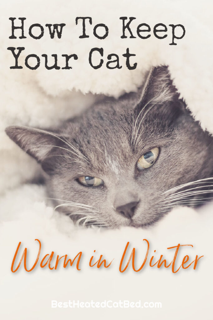 How To Keep Your Cat Warm in Winter by BestHeatedCatBed.com