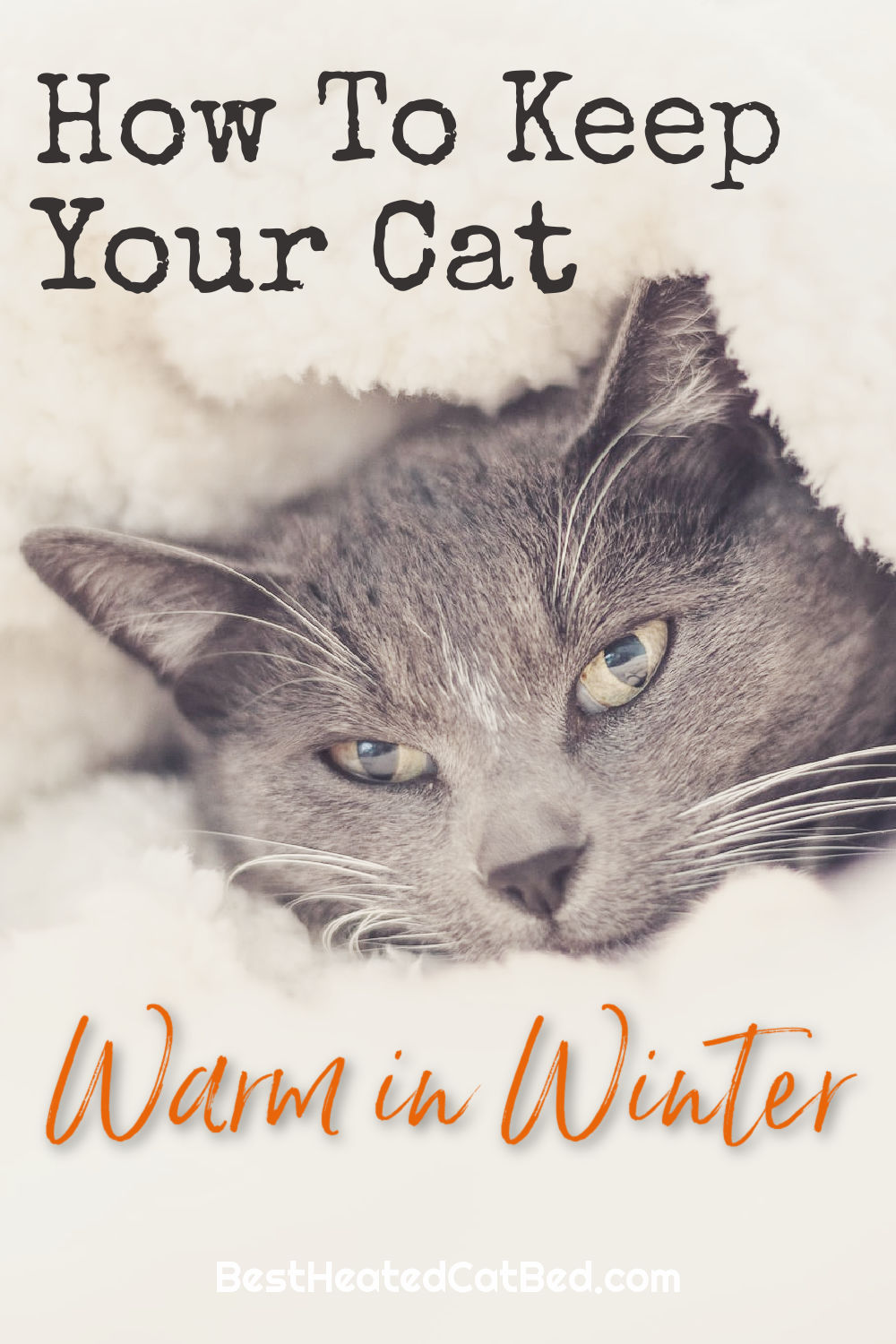 How To Keep Cats Warm In Winter - Best Heated Cat Bed