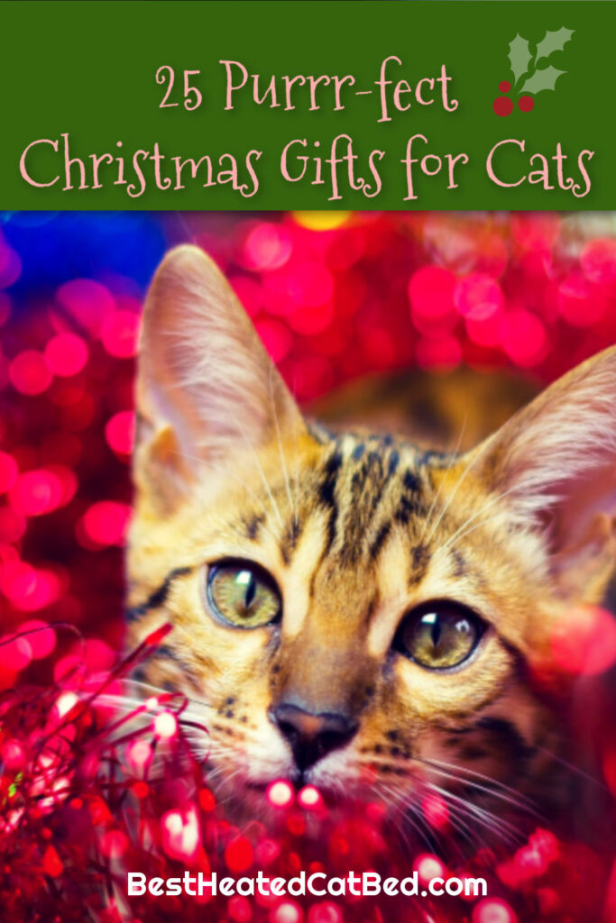 Perfect Christmas Gifts for Cats by BestHeatedCatBed.com