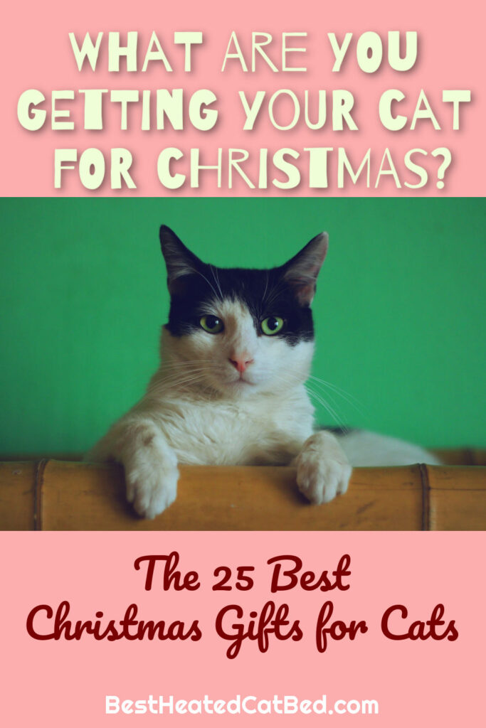 The 25 Best Christmas Gifts For Cats by BestHeatedCatBed.com
