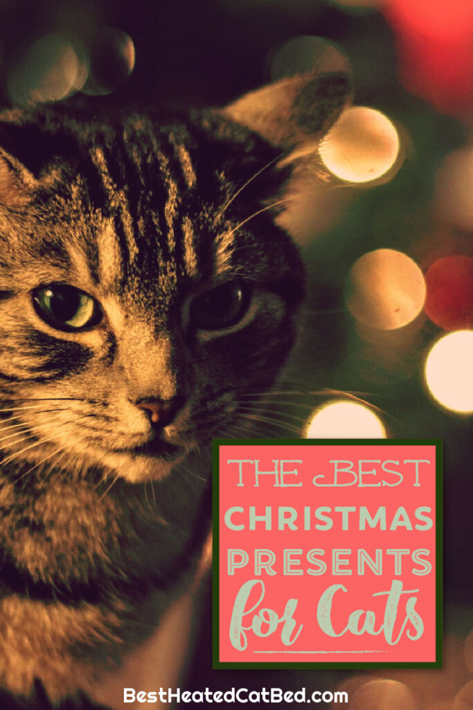 The Best Christmas Presents for Cats by BestHeatedCatBed.com