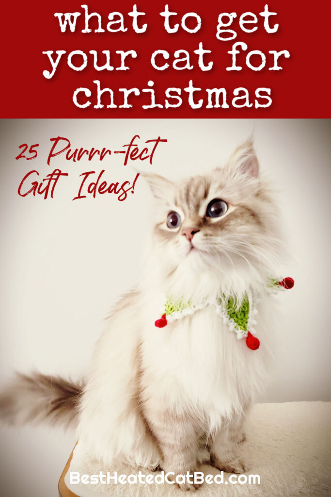 What To Get Your Cat For Christmas by BestHeatedCatBed.com